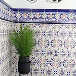 Apartment Casa Aguasala - Mirador & Calma Conil - Solo Familias O Parejas - Parking Privado Opcional - *